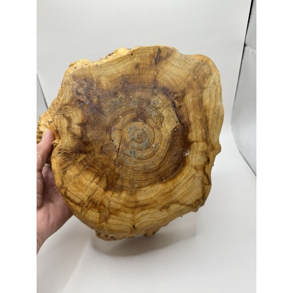 VTG Large Hand Carved Wood Tree Burl Wooden Bowl Basket Handle Shan Mu Tree - Picture 7 of 15